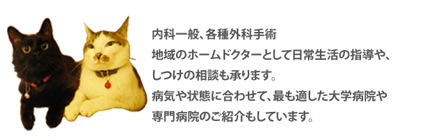 ジル動物病院・診療方針