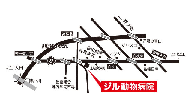 出雲市　動物病院・地図